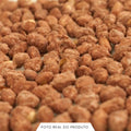 Amendoim Caramelizado