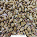 AMENDOA CARAMELIZADA